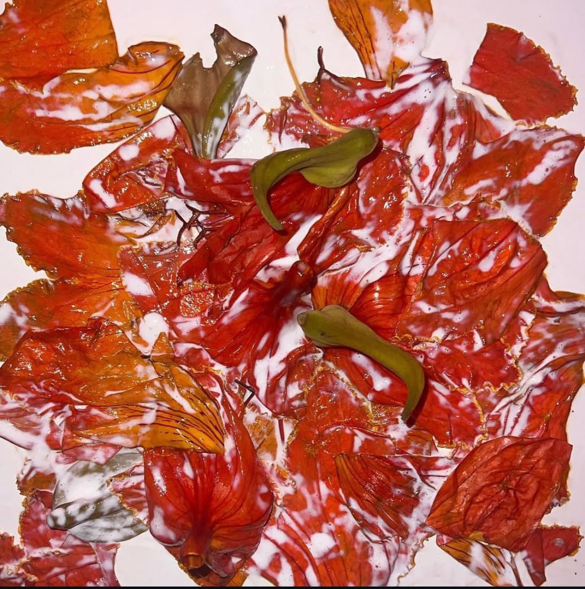 “Your The Peace” Original 1/1